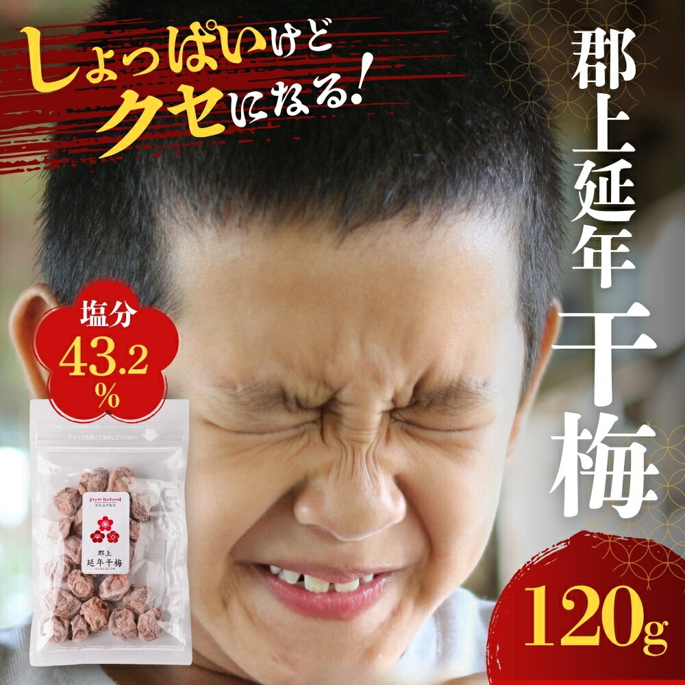 【ふるさと納税】郡上延年 干梅 120g 昔ながらの しょっぱい干し梅 暑さ対策 塩分補給 食品 漬物 梅干し 梅干し しそ梅 紫蘇梅 国産梅 種あり プラムナチュール 5000円 G0071