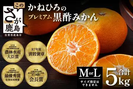 【2026年11月中旬頃～12月頃配送予定】プレミアム黒酢みかん 約5kg (M / Lサイズいずれか ) のし対応 温州みかん 柑橘 B-910