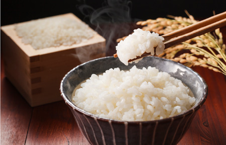 令和7年産 ヒノヒカリ 玄米 10kg 2025年度産