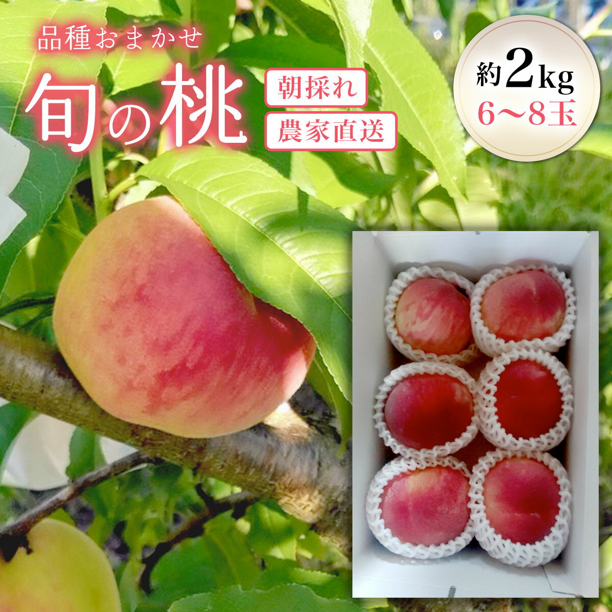 【ふるさと納税】品種おまかせ 旬の桃 約2kg(6～8玉)　【 ふるさと納税 人気 おすすめ ランキング 桃 もも モモ 夏雄美 日川白鳳 あかつき つきかがみ フルーツ くだもの 千葉県 大網白里市 送料無料 】AU001