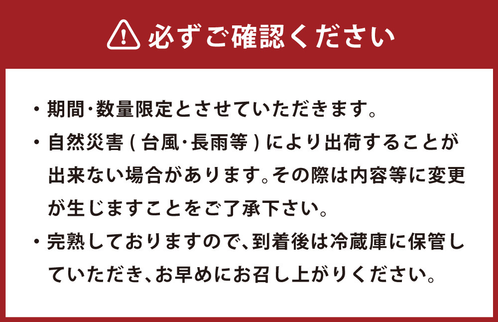 ＜宮崎県産 完熟マンゴー 2L×2玉 ＞