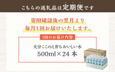【4ヶ月定期便】大分 ここのえ育ち おいしい 水 500ml×24本 合計96本