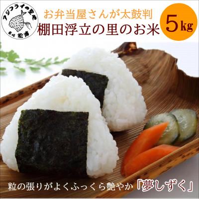 ふるさと納税 松浦市 お弁当屋さんが太鼓判!棚田浮立の里のお米5kg