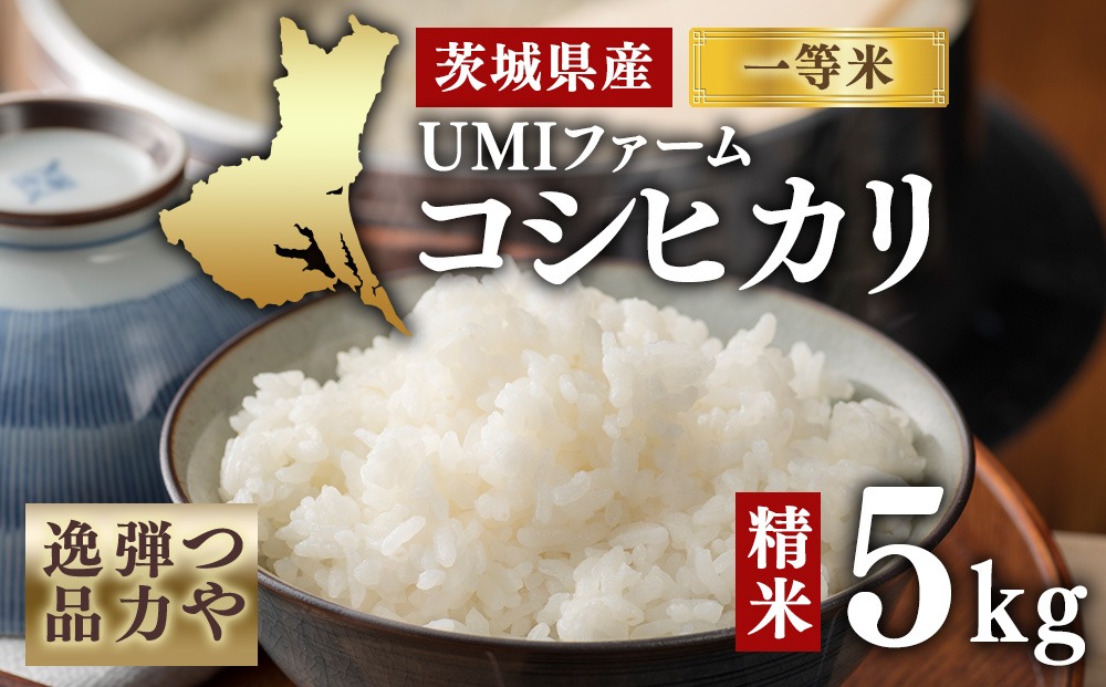 令和7年産　茨城県産コシヒカリ一等米　精米５㎏　つや、弾力逸品