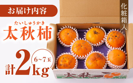 【先行予約】【化粧箱入り】山都町産 太秋柿 約2kg  柿 かき カキ 果物 フルーツ デザート スイーツ 秋の味覚 産地直送 山都町産 プレゼント 贈り物【大浜農園】[YCE001]