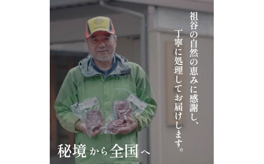 鹿肉ジャーキー 犬用 100g 2パック 1パック50g 三好市 ドリームチーム