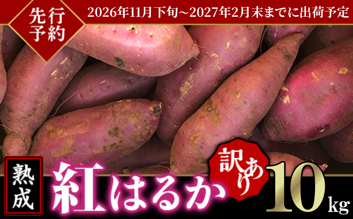 【 先行予約 】【 訳あり 】茨城県産 熟成さつまいも 「 紅はるか 」 10kg 【 2026年11月下旬～2027年2月末までに出荷予定 】【 さつまいも 紅はるか 芋 サツマイモ 甘い 焼き芋 スイートポテト 茨城県産 大容量 不揃い ねっとり 】