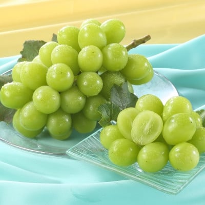 
                  岡山県産　秋のシャインマスカット　1房＜冷蔵＞2026年発送【1709333】
                