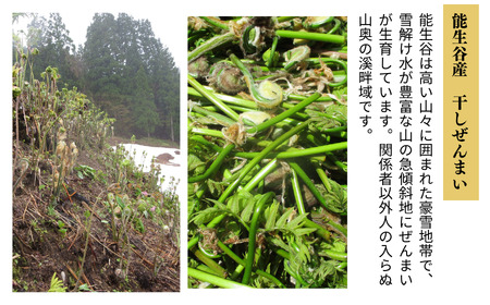 R6年産 中500ｇ 新物干しぜんまい 乾燥ぜんまい 新ぜんまい 山菜の王様「ぜんまい」新潟県 糸魚川市 能生谷産 柔らか美味しい 山菜 凝縮された旨味