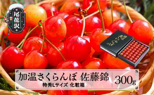 
            先行予約 加温 さくらんぼ 佐藤錦 特秀Lサイズ 300g 5月上旬~5月下旬頃発送 プレゼント ギフト 化粧箱鏡詰め 2025年産 令和7年産 ハウス ハウス栽培 山形県産 ns-sntlx300
          