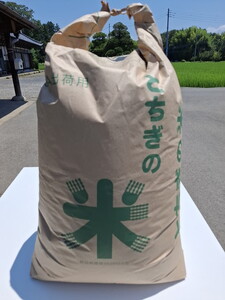令和8年産新米 栃木県芳賀町産 コシヒカリ 玄米 30kg｜米 お米 新米 コメ こめ 国産 産地直送 旬 期間限定 季節限定 送料無料《2026年9月下旬-2027年1月下旬頃出荷予定》
