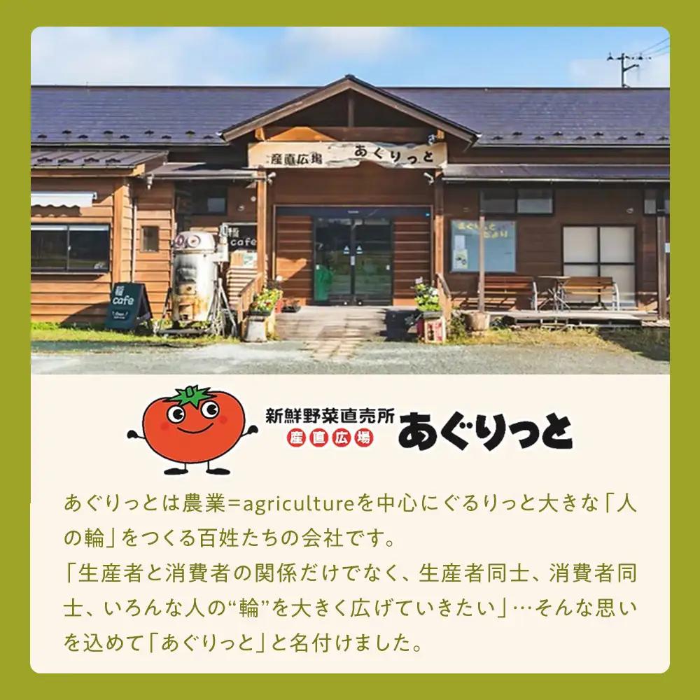 ずんだらけスイーツセットA【バタークリーム、カッサータ（秘伝豆、ドライフルーツ入り）、レアチーズケーキ】【冷凍配送】 ｜ずんだ お菓子  