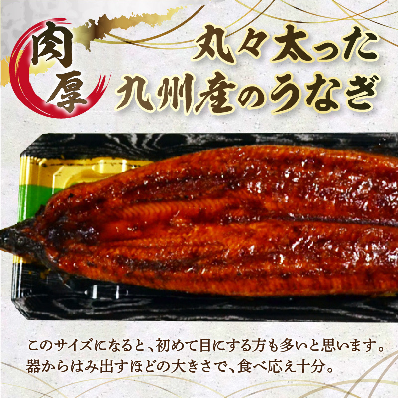 肉厚九州産うなぎ蒲焼2尾つゆだくタレ付 中間老舗鮮魚店秘伝の味【001-0017】