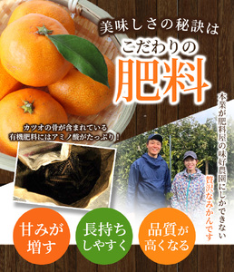 蜜柑 柑橘 果物 フルーツ みかん 早生 極早生 中生 晩稲 /【S～2Lサイズおまかせ】秀品 季節のみかん(極早生・早生・中生・晩稲) 5kg 【2024年10月中旬～2025年2月下旬までに順次発