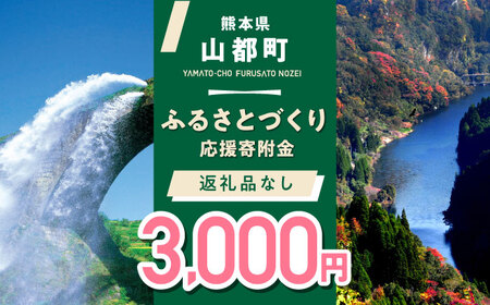 【応援寄附金】熊本県 山都町 ふるさとづくり 返礼品なし ふるさと納税 応援寄附金 応援寄付金 ふるさと応援 返礼品なし 返礼品無し (3,000円分)[YZZ012] 3000 3,000 3000円 3,000円