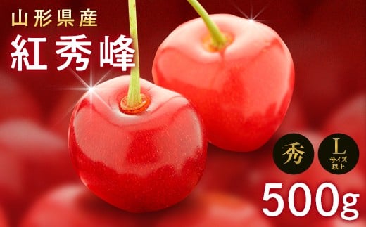 《2026年先行予約》山形県産 さくらんぼ 紅秀峰 500g 秀 L以上 バラパック詰め 2026年6月中旬から順次発送 果実 果物くだもの フルーツ 桜桃 サクランボ 化粧箱 贈り物 ギフト 贈答用