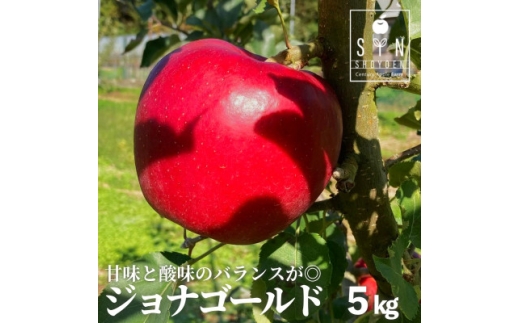 りんご ジョナゴールド 5kg 松陽園 樹上 完熟 岩手県 遠野市産 農家直送 先行予約【1537047】
