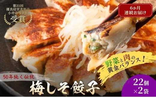 梅しそ餃子44個(22個×2袋)6か月連続お届け 餃子 冷凍餃子 冷凍ギョーザ 手作り餃子 ギョーザ 点心 中華 中華料理 惣菜 簡単調理 加工食品 静岡県 森町