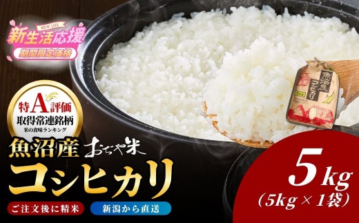 【コシヒカリ】令和7年産 新潟県 魚沼産コシヒカリ「おぢや米」 計5kg クラフト袋 JA魚沼 | 新潟産コシヒカリ 特A評価 魚沼産 新潟県産コシヒカリ 新潟県産こしひかり 魚沼コシヒカリ お米 米 こしひかり 白米 精米 ブランド米 特A評価地区【0002-JA03】