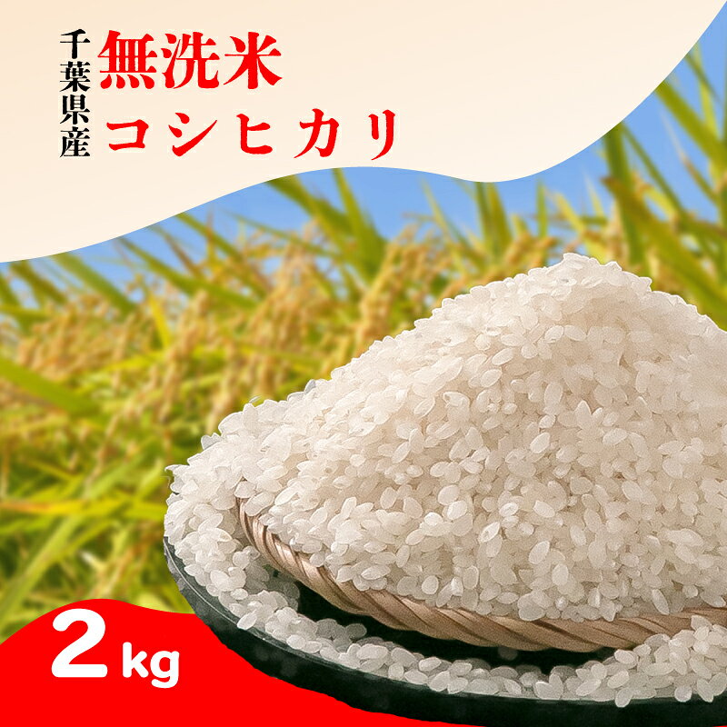 【ふるさと納税】 無洗米 千葉県産 コシヒカリ 2kg 米 お米 白米 ご飯 ごはん 精米済み 2キロ こしひかり 国産 国産米 弁当 朝ごはん 人気 つや おいしい 家庭用 家族 ギフト プレゼント お中元 お歳暮 お祝い 送料無料 ふるさと納税 千葉県 銚子市 根本商店