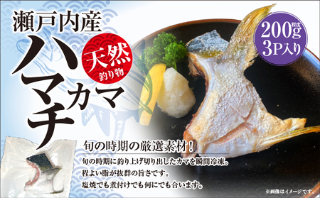 【新鮮！瀬戸内海産ハマチ＆真鯛刺身＋ハマチカマ塩焼き用セット】贅沢3種×計9パック　新鮮 刺身 食べ比べ 魚 一本釣り 海産物 海の幸 魚介 魚介類 真鯛 ハマチ 惣菜 おかず 朝ごはん 朝食 冷凍 