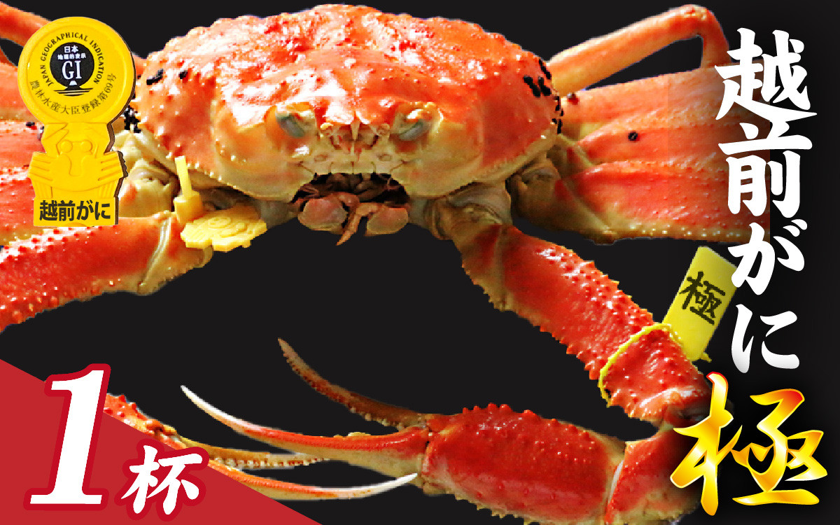 
            【先行予約】選べる！美味しさ直送【成前特選】越前がに 【極】 （1.3kg～1.5kg）１杯【11月～3月発送】 [W-028052] / 福井県 福井 オス 雄 ズワイガニ ボイル 冷蔵 越前ガニ 越前がに 越前カニ ずわいがに ずわい蟹 かに カニ 蟹 指定 茹で 甲羅盛り 甲羅盛 すがた 姿 チルド 越前蟹 ずわい ズワイ 茹で蟹 茹で むき身
          