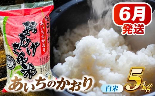 【6月発送】あいちのかおり 白米 5kg 米 お米 5kg 5キロ 白米 精米 コメ ご飯 ごはん 愛知県産 国産 県産米 国産米 あいちのかおり 発送 時期 選べる 産地直送 15000円 1万5千円 令和7年 愛西市 / 脇野コンバイン [AECP001-9]