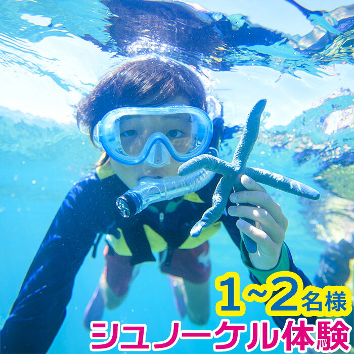 【ふるさと納税】シュノーケル 体験 「1名様～2名様」【バナナボートで行くクマノミ城海の星探し】