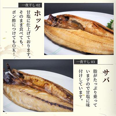 ふるさと納税 北見市 一夜干し5種(各1枚)セット(キンキ入り) |  | 02