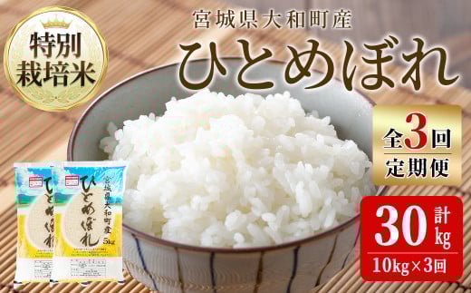 【令和7年産】＜3か月定期便＞特別栽培米 ひとめぼれ 10kg×3回(合計30kg) お米 おこめ 米 コメ 白米 ご飯 ごはん おにぎり お弁当 頒布会【農事組合法人若木の里】ta540