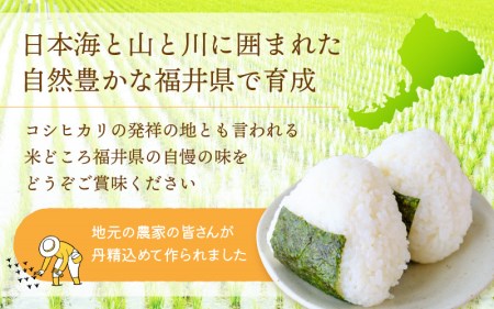 コシヒカリ 5kg 令和5年 福井県産【白米】【お米 こしひかり 5キロ 人気品種】 [e30-a051]