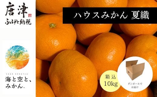 
            『先行予約』【令和8年6月より順次発送】夏の極上ハウスみかん「夏織」箱込10kg 〜海と空と、みかん〜　甘くてとろける夏の果物 ミカン フルーツ 柑橘
          