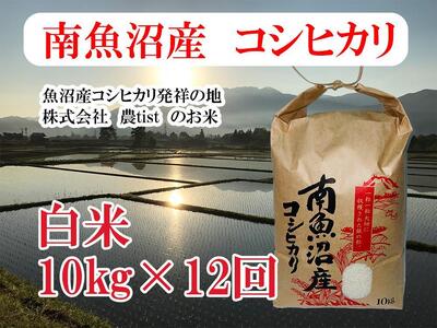 【令和7年産】【定期便 南魚沼産】コシヒカリ 白米10kg×12回