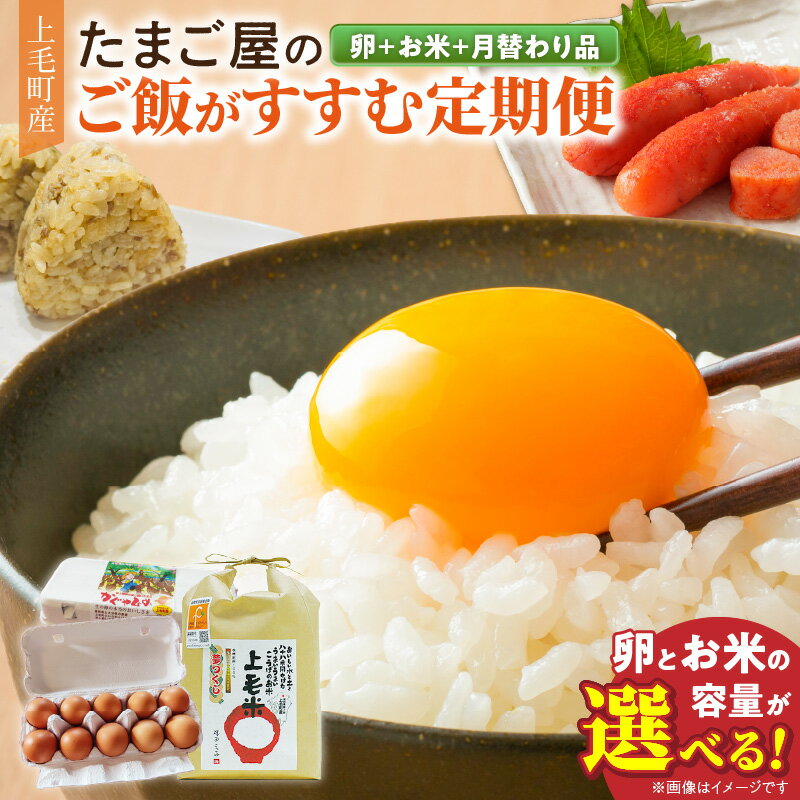 【ふるさと納税】定期便 6回 選べる 卵 20個 40個 お米 2kg 3kg 米 精米 かぐやひめ 月替わり品 基本セット たまごかけご飯専用醤油 くぼて漬ふりかけ かしわめしの素 辛子明太子 産卵日出荷 新鮮 都度精米 ご飯がすすむ 福岡県 上毛町 送料無料