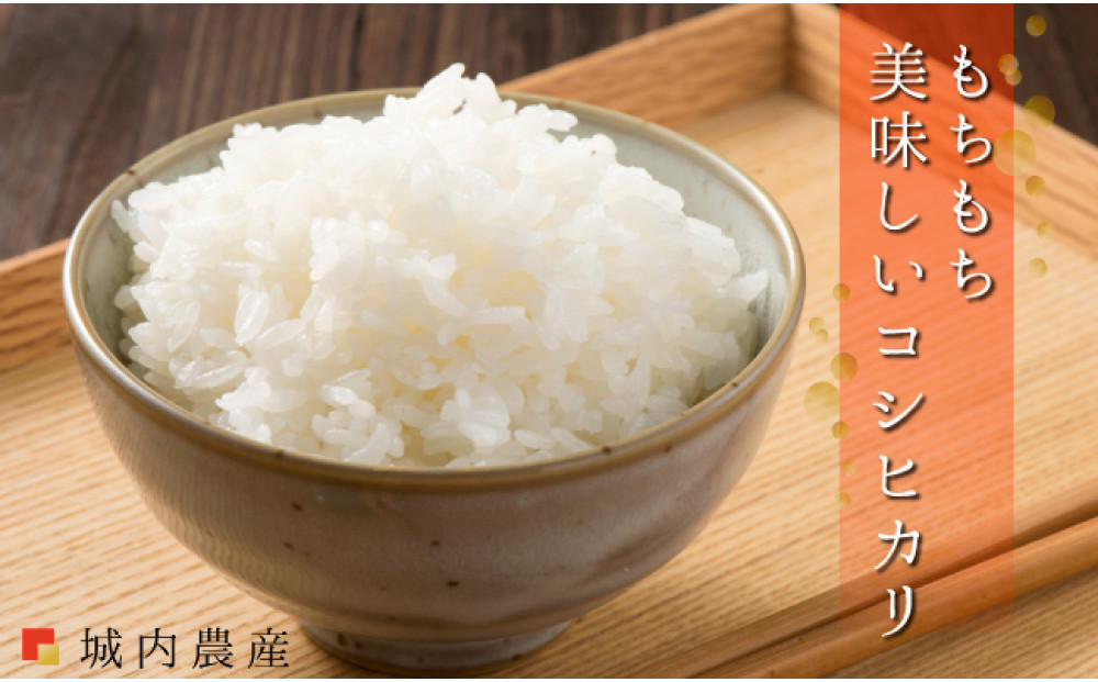 【令和７年産 新米】【お米定期便/全１２回】南魚沼産コシヒカリ　無洗米５ｋｇ＜５割減農薬栽培米＞城内農産