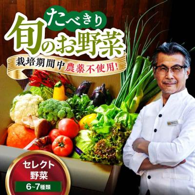 ふるさと納税 大洲市 【シェフの目線】野菜 6から7種 単身・二人暮らし用セット [AGBX043]