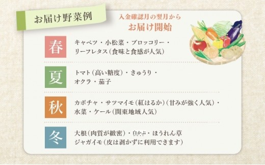 野菜 定期便 詰め合わせ セット よしむら農園 オーガニック おまかせ野菜セット 6回 おまかせ 旬 旬の野菜 ビタミン 栄養 健康 栄養バランス 一人暮らし 野菜炒め 無添加 旬 有機栽培 JAS 新鮮 トマト 大根 ほうれん草 ベビーリーフ レタス キャベツ じゃがいも 香川県 丸亀市