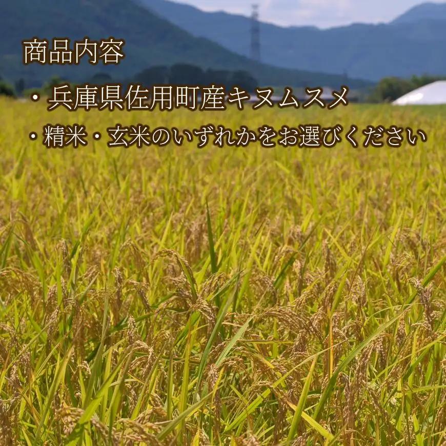 【兵庫県佐用町産】さよひめ営農のお米 10kg キヌムスメ/玄米