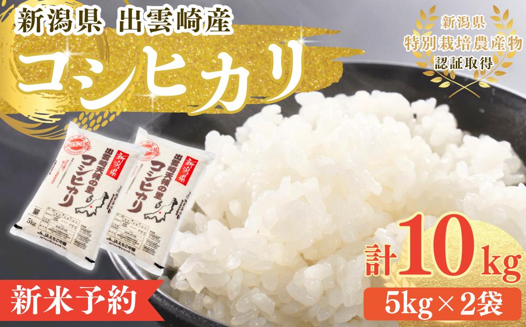 【先行予約・令和7年10月以降発送予定】 令和7年産新米 新潟県産 コシヒカリ 10㎏  出雲崎町産 「天領の里」白米 精米 お米 こしひかり