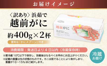 【先行予約】≪浜茹で≫ 地物！天然！はるか丸厳選！”訳あり”越前がに 約400g × 2杯【2026年2月上旬以降順次発送予定】獲れたて！茹でたてをお届けします！[m36-x002_02]