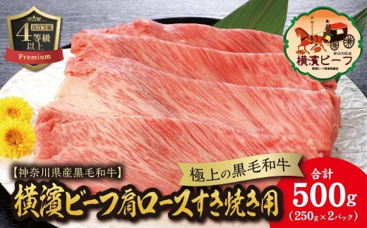 
                  【神奈川県産黒毛和牛】かながわブランド認定　極上の黒毛和牛　横濱ビーフ　肩ロースすき焼き用　250g×２
                