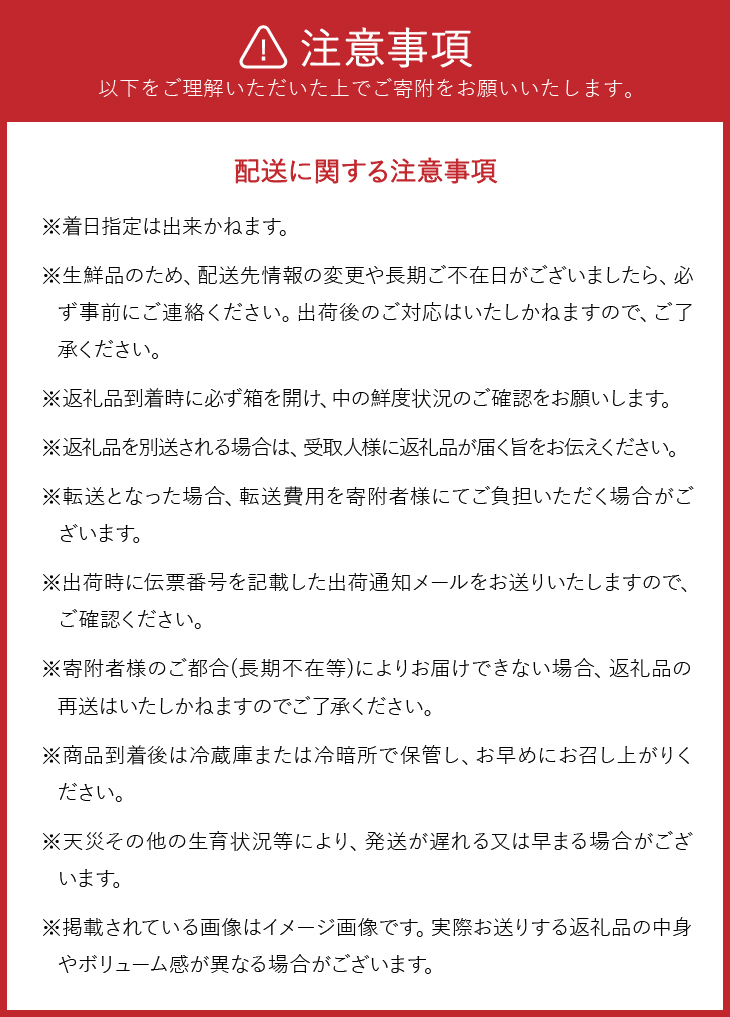 江刺りんご サンふじ 10kg（28～40玉）【2024年12月中お届け】 [AQ012]