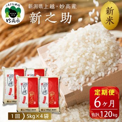 ふるさと納税 妙高市 2025年12月下旬より発送【定期便】令和7年産上越・妙高産新之助20kg×6回(計120kg)