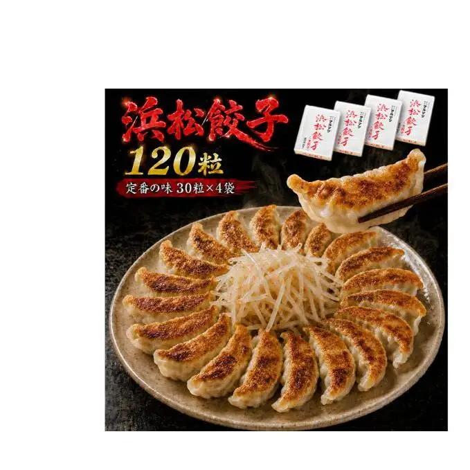 餃子 浜松餃子 120粒 定番の味 30粒×4袋 餃子