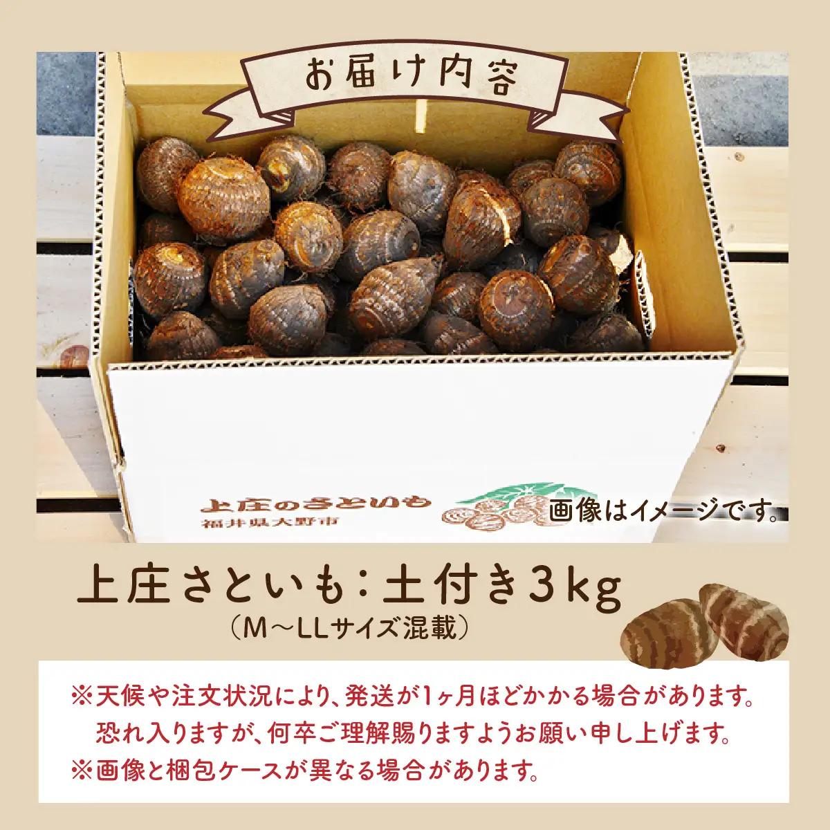 【先行予約】【2月発送分】上庄産さといも3kg 有機肥料配合 減農薬栽培 [A-005007_04]