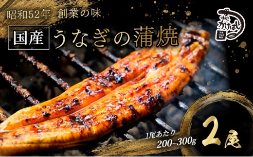 
                  昭和52年創業の味 手焼き 国産うなぎ 蒲焼き 2尾 1尾あたり 200～300g 国産 鰻 美味しい 職人仕上げ ふっくら肉厚 タレ付き 冷凍発送 ギフト 贈答用 お取り寄せ グルメ ご飯のお供 九州 福岡 老舗の味
                