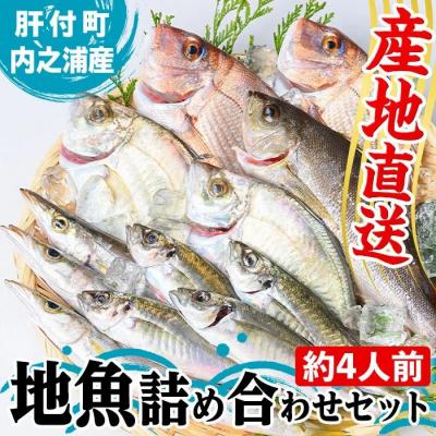 ふるさと納税 肝付町 地魚詰め合わせセット(約4人分) 【マルケイ水産】　A09002