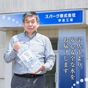シリカスプリングス(計24L・500ml×48本)シリカ水 天然水 美容 健康 炭酸水素イオン 常温 常温保存 【114700800】【スパーク】