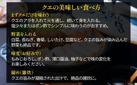 クエ鍋 4人前（アラ600g・身600g）※冷蔵【smr007】