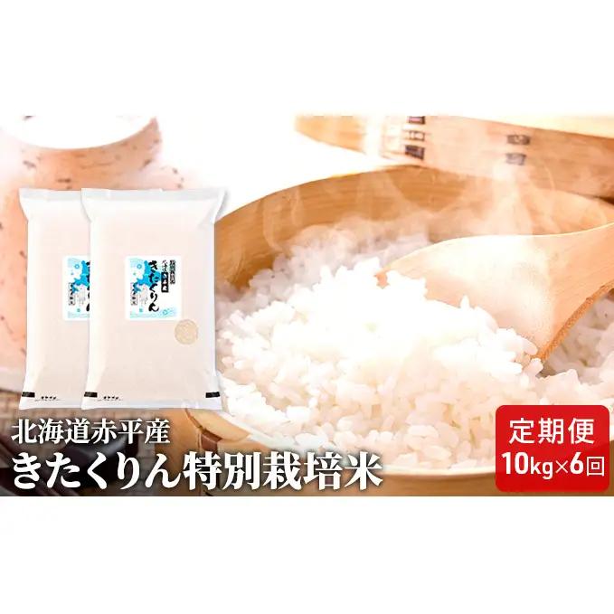 きたくりん 精米 特別栽培米 【10kg(5kg×2袋)】【定期便6回】